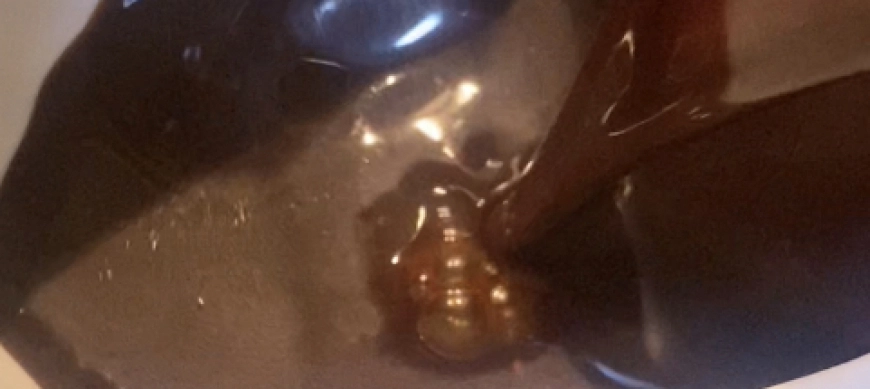 SALSA REDUCCIÓN PEDRO XIMENEZ