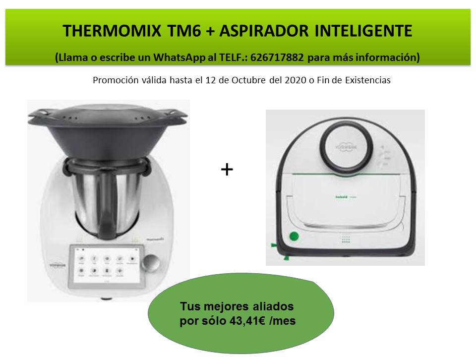 LOS MEJORES ALIADOS EN TU DIA A DIA (Thermomix® Y ASPIRADOR) - Noticias  Blog - Blog de ROCIO DIEZ MARDOMINGO de Thermomix® Madrid Centro